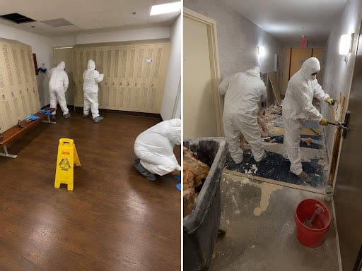 Workers in protective suits performing mold remediation and cleanup