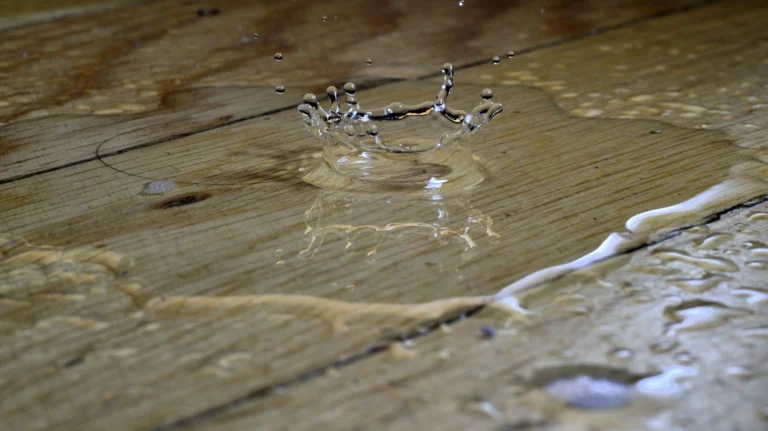 what is water mitigation and when do you need it