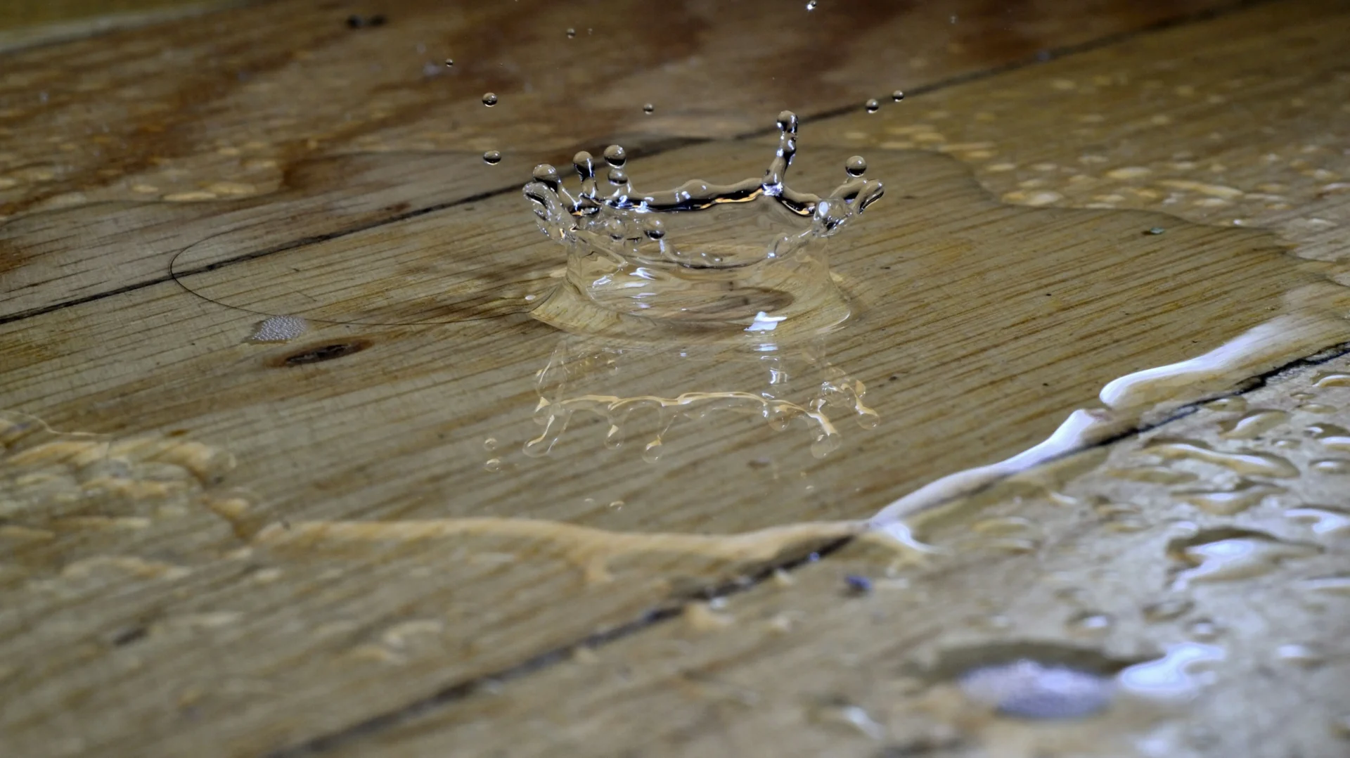 what is water mitigation and when do you need it